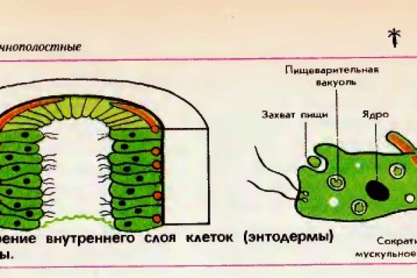Кракен зеркало сегодня