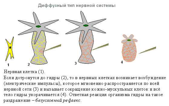 Зеркало кракен kr2web in